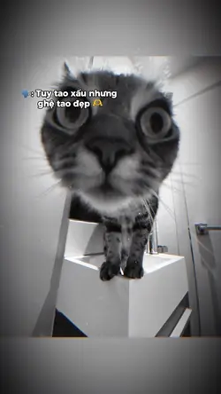 Tuy tao xấu nhưng