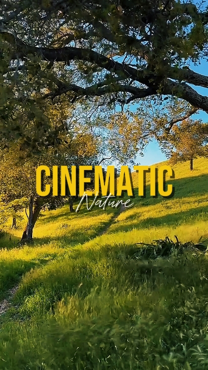 Cinematic Nature