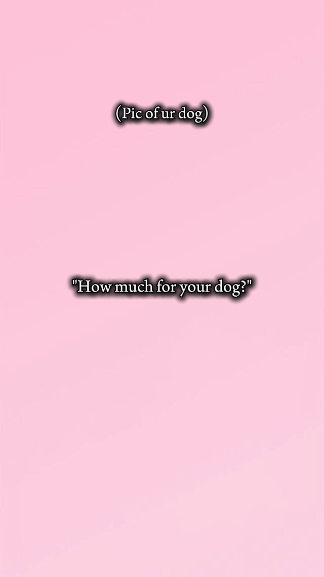 köpek