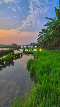 bahan SW