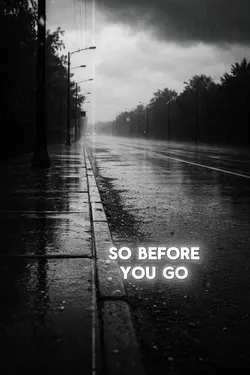 BEFORE YOU GO 