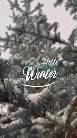 Hello Winter