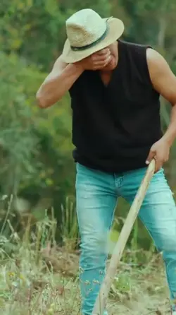 edición profesional 