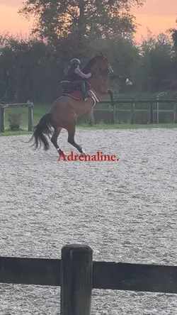 😅😇‼️FAKE NO REAL AI‼️