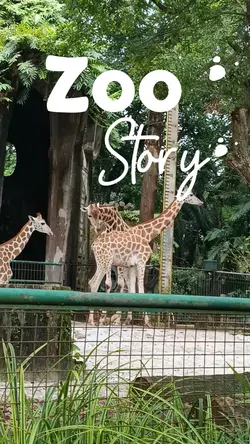 Zoo story