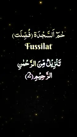 Tussilat