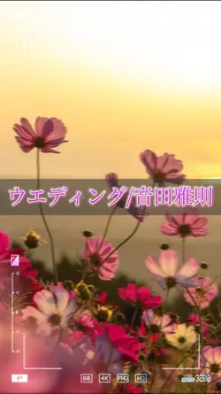 記念日などに使ってください！