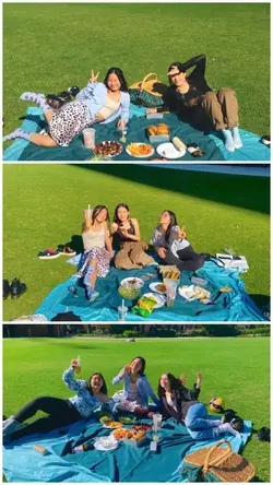 3 photo picnic