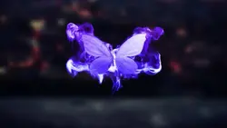 purple butterfly ²²