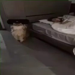 Edit 