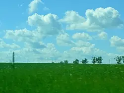 zwolnij