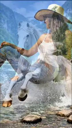 Horses