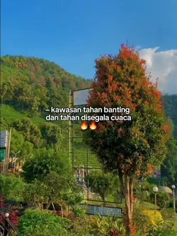 STORY KATA