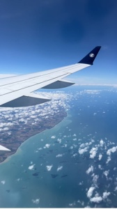 Plane views >>>
