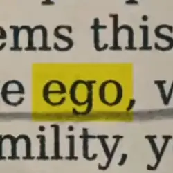 Ego Shake Template 🔥