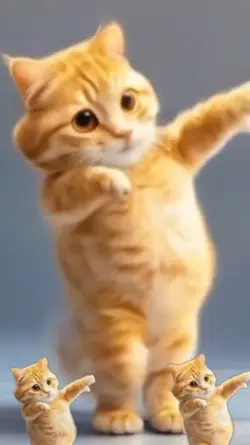 dancing cat