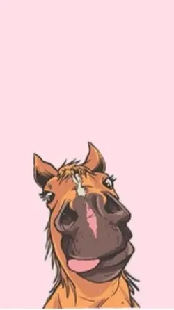Pony Hintergründe