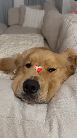 CUTE AND CUTE ❤‍🩹 