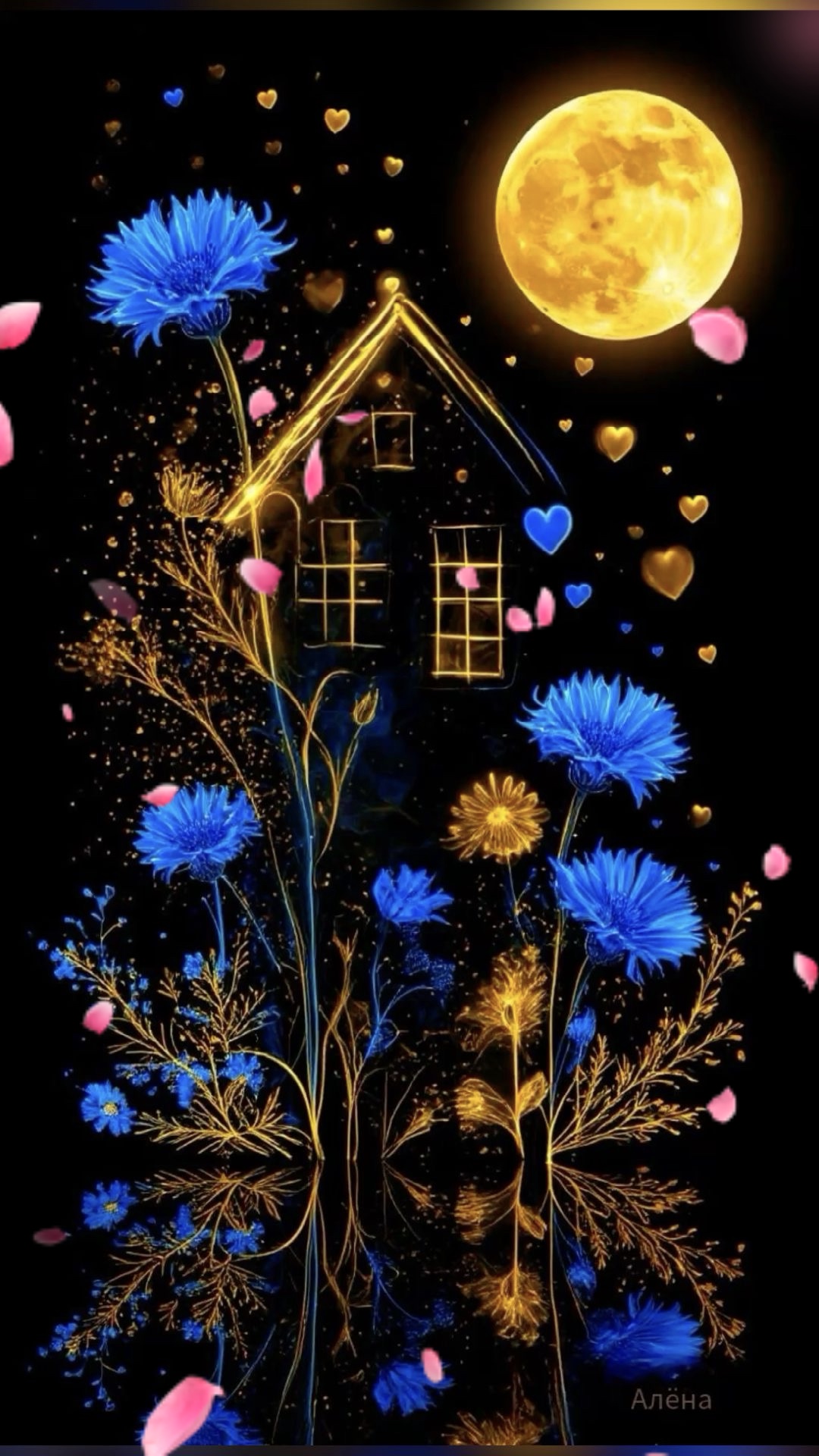 Cover Picture