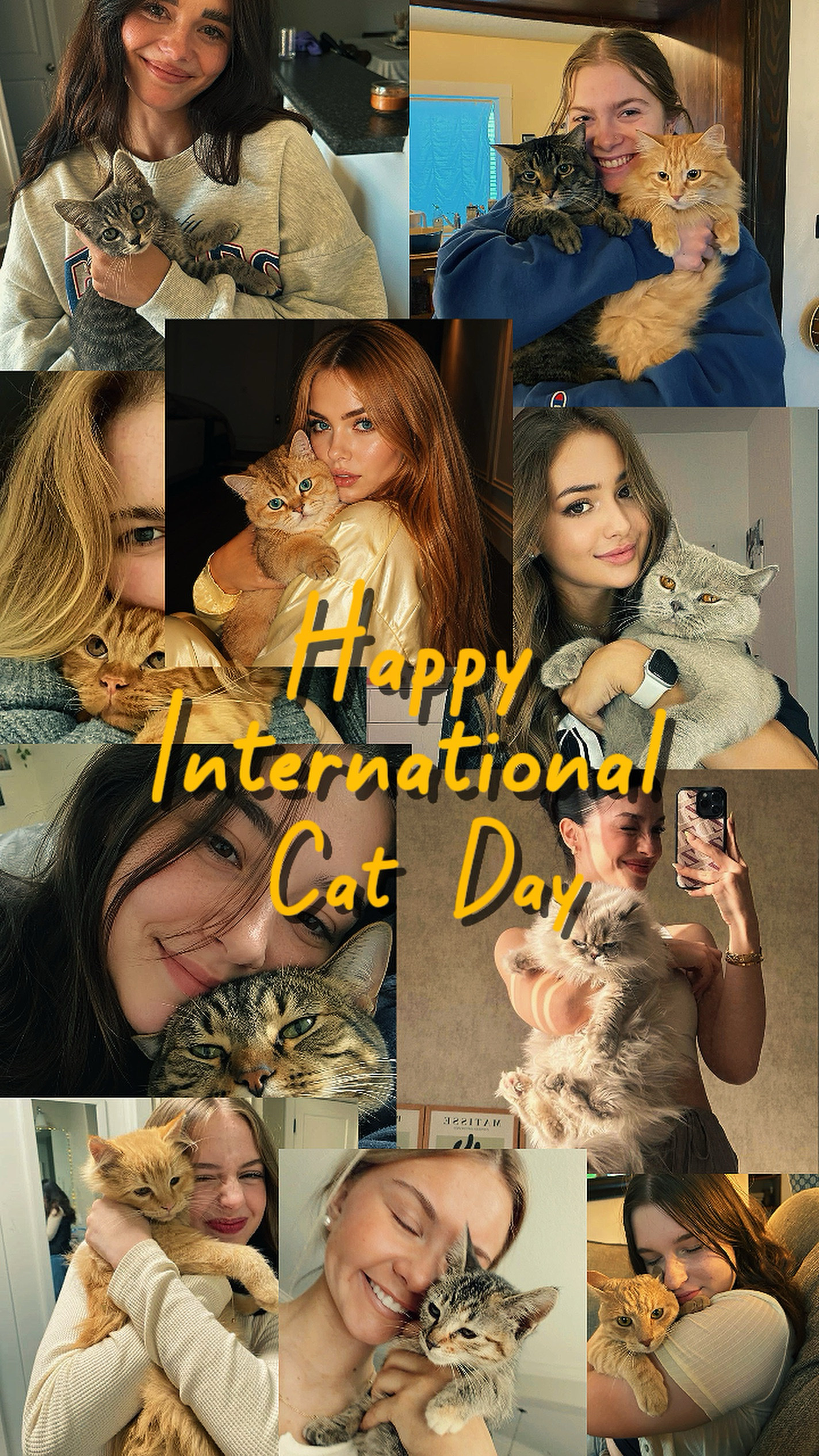 Happy cat day