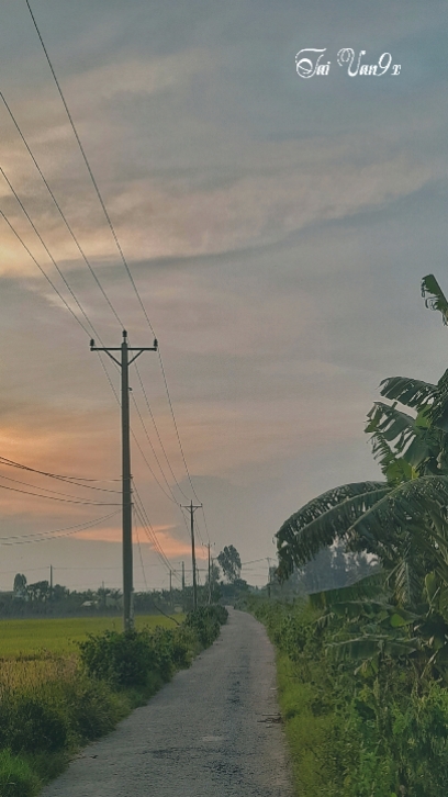 Bậu ra bờ sông
