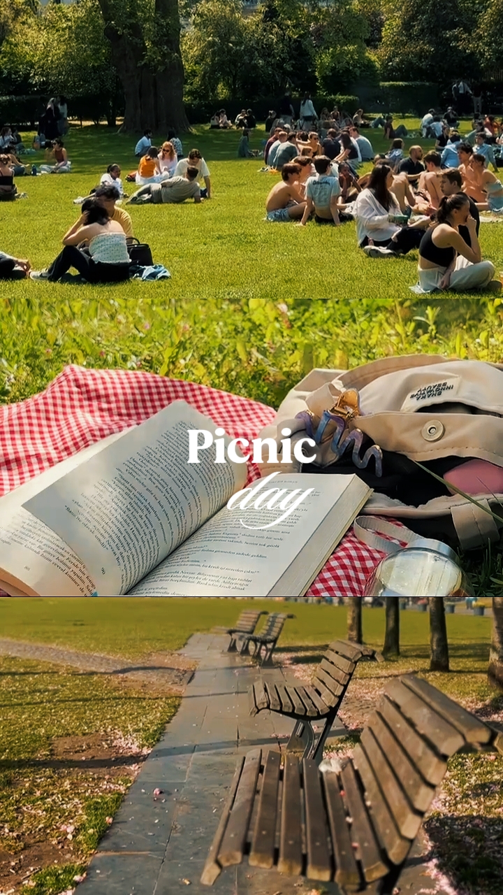 picnic day