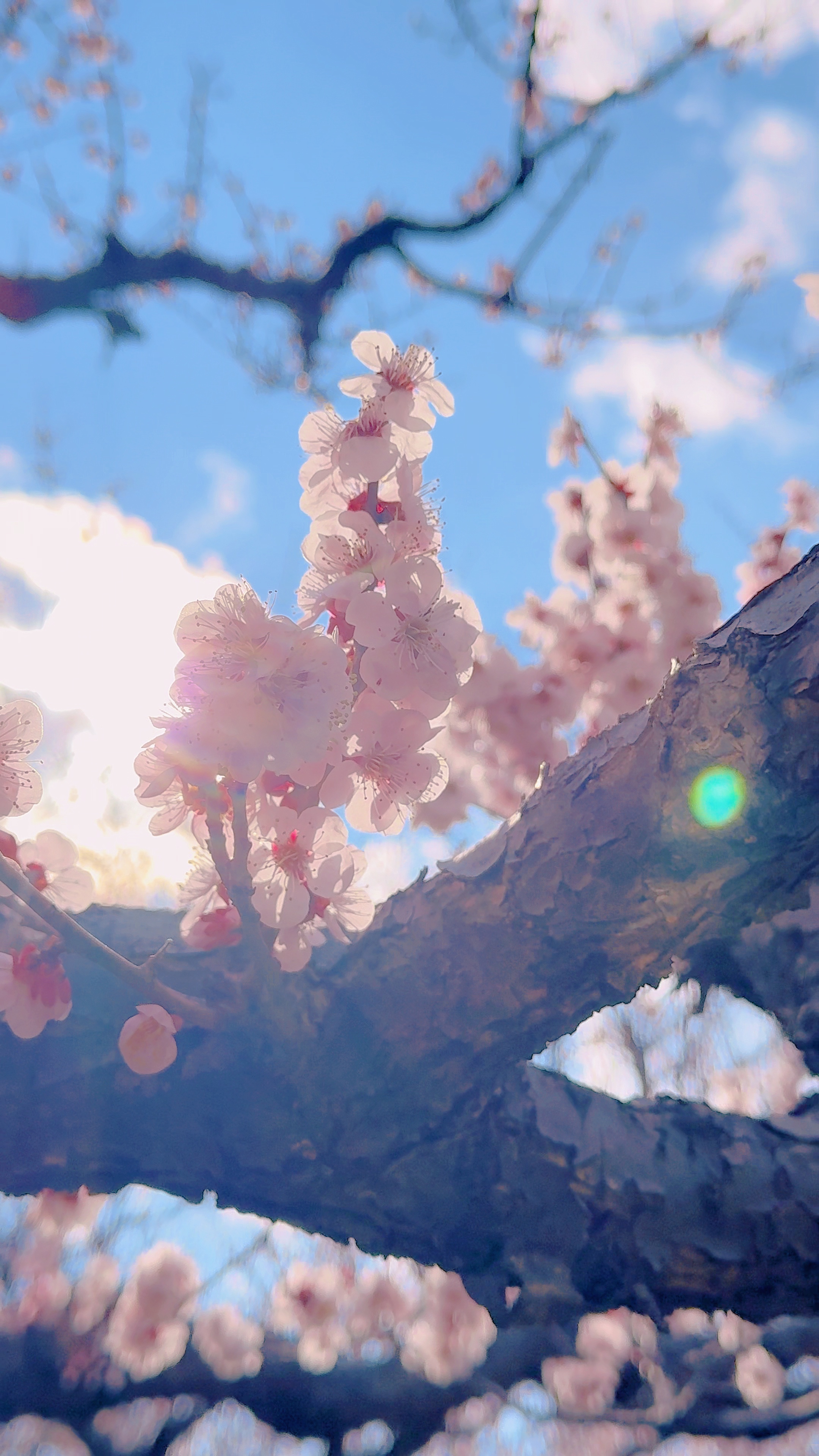 A spring day