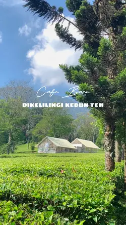 Nongkrong Aesthetic 
