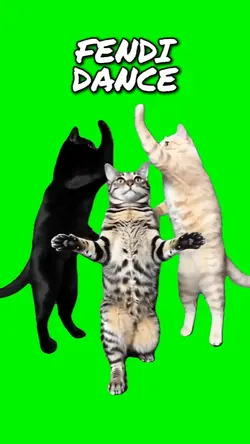 Fendi Cats
