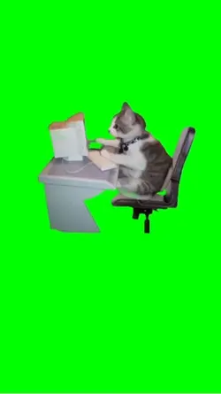 [猫ミーム]パソコン猫 素材