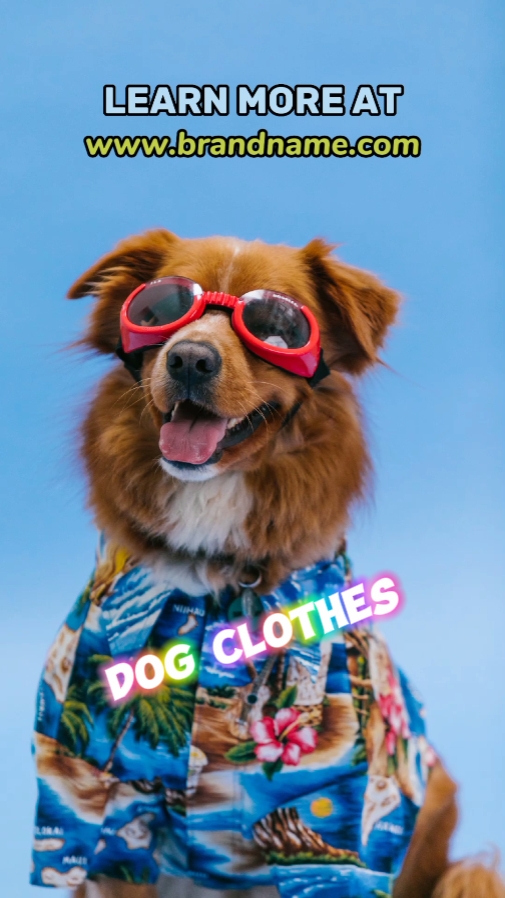 Exhibición De Ropa Para Perros Estilo Tik Tok