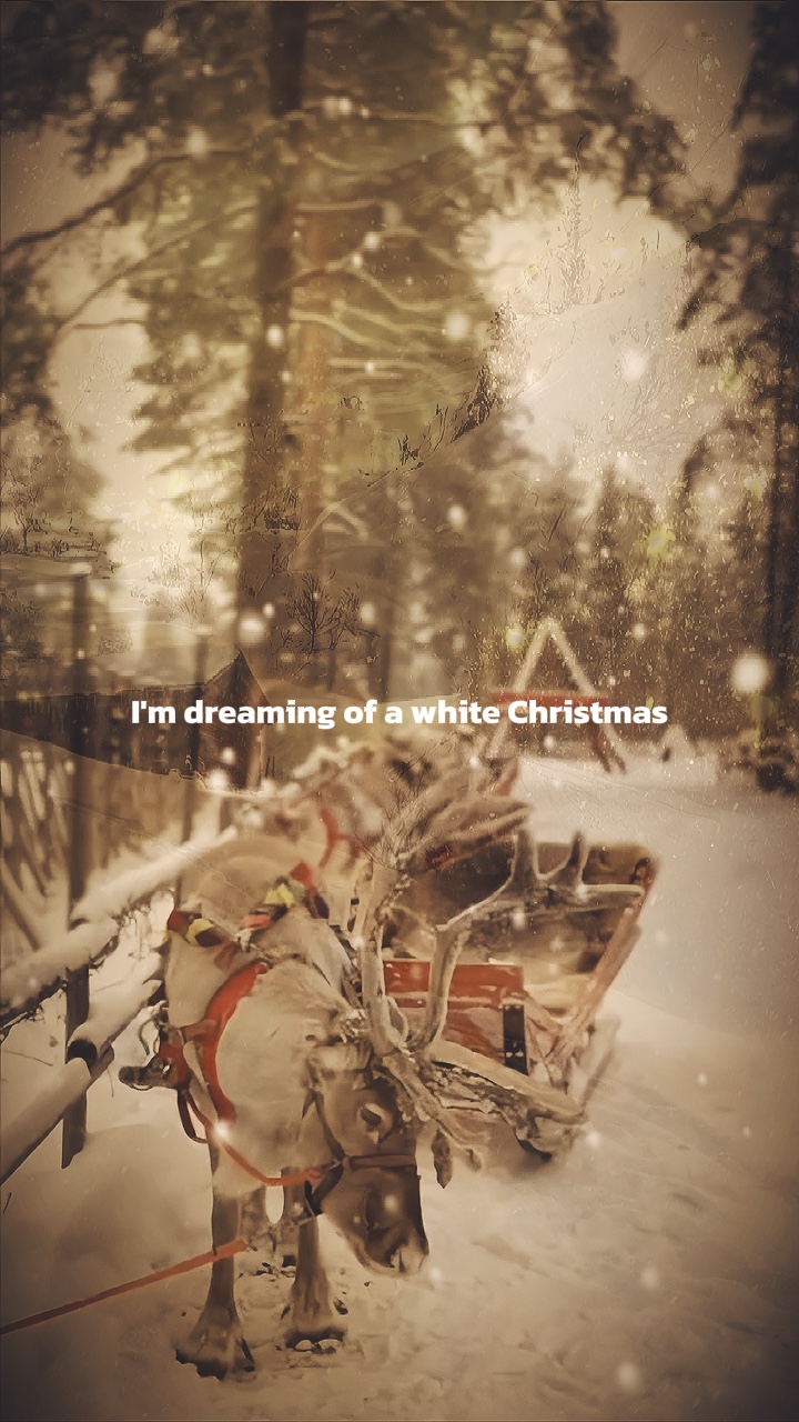 Weiße Weihnachten❤️