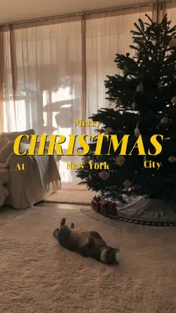 Christmas Vlog