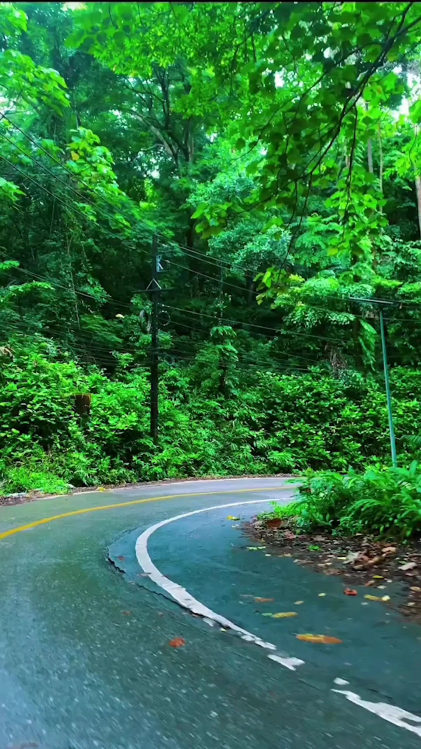 แล้วแต่ใครจะมอง...