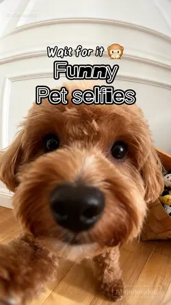 Funny Pet Selfies
