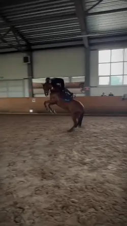 NOT ME(rider was ok!