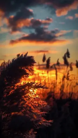 Worship Music Gospel