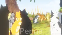 Silverstream clip