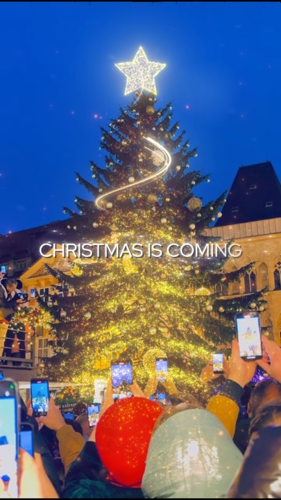 Mercado navideño