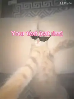 Cat rizz