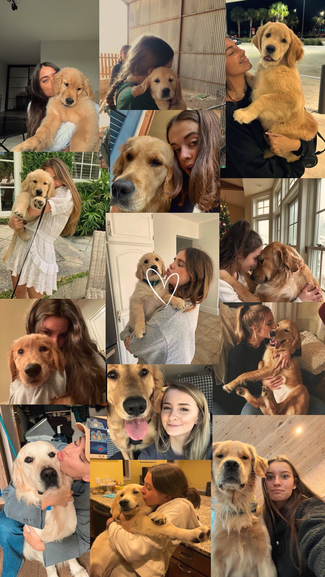 My dog 