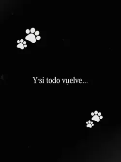 Y si todo vuelve 