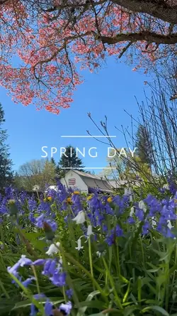 spring day