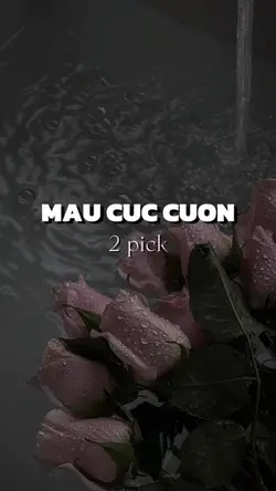 THU ĐẾN CÙNG..