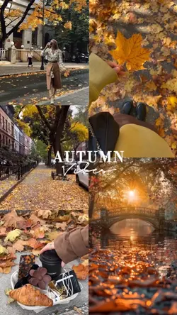 Autumn Vibes