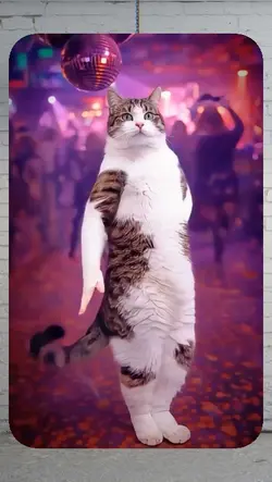 dancing cat