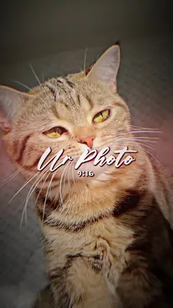 Thai remix 3รูป