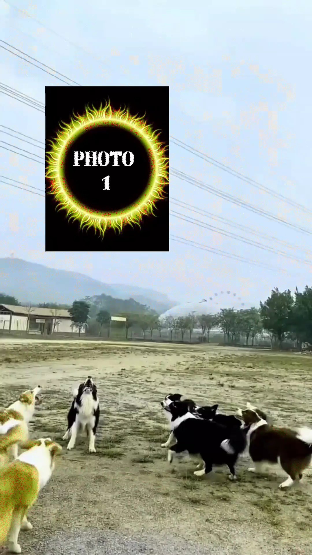 KOMANDO YENİ IDOL