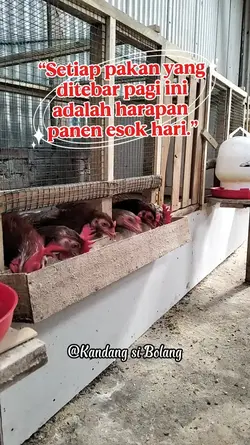 motivasi peternak 