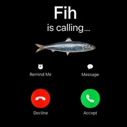 Fih Is Calling… 🐟📞!